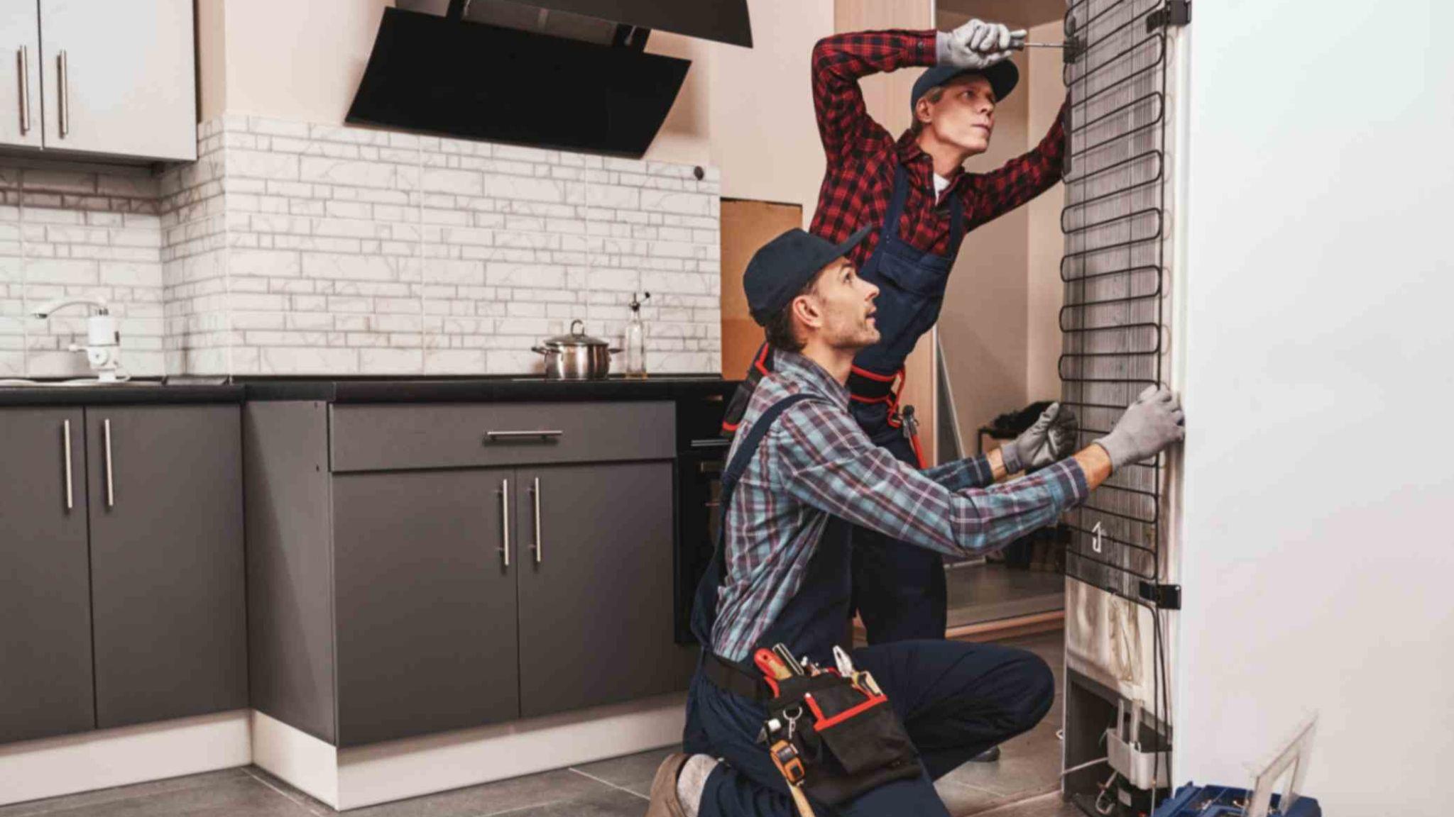 Refrigerator Maintenance Guide: Protecting and Fixing Your Compressor